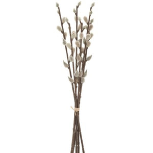 Pussy Willow Bouquet