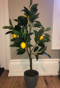 FAUX LEMON TREE IN CEMENT POT